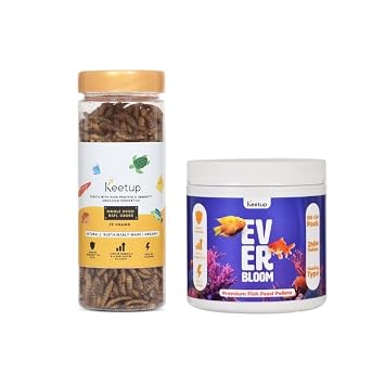 Fish Food
